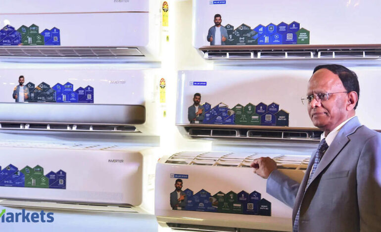 Blue Star MD flags 2% margin drop this summer but bets big on data centres for long-term growth