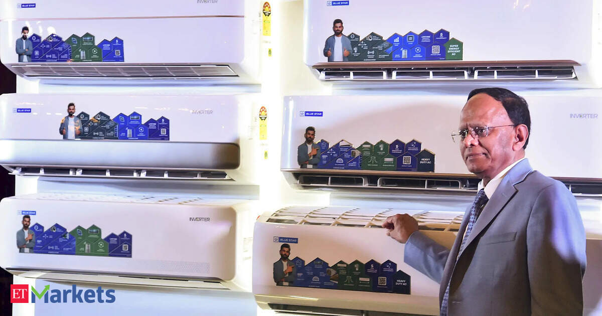 Blue Star MD flags 2% margin drop this summer but bets big on data centres for long-term growth