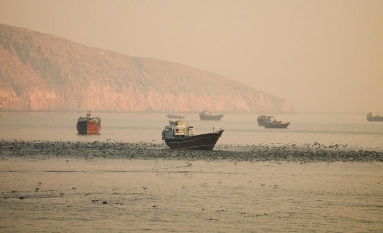 IMO, Oman announce plan to evacuate ships, 11,000 seafarers stranded in Persian Gulf