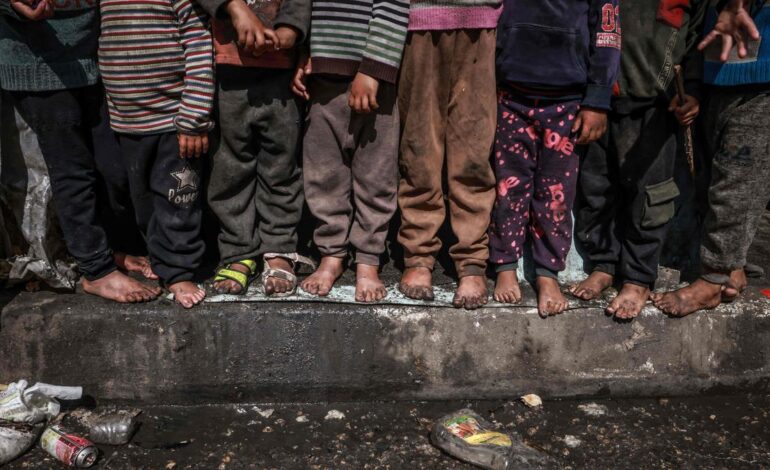 What do genocide, war crimes and crimes against humanity mean?