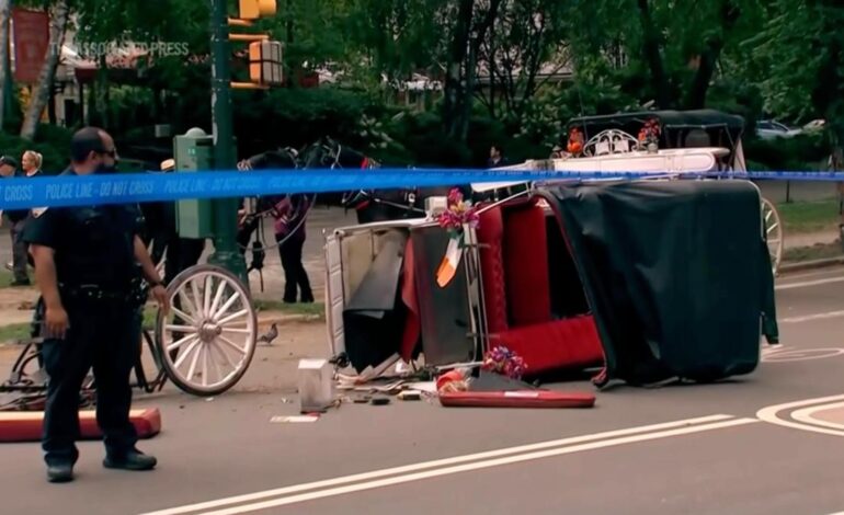 Bill seeking to ban horse carriages in New York city renamed after Indian teen killed in Central Park incident