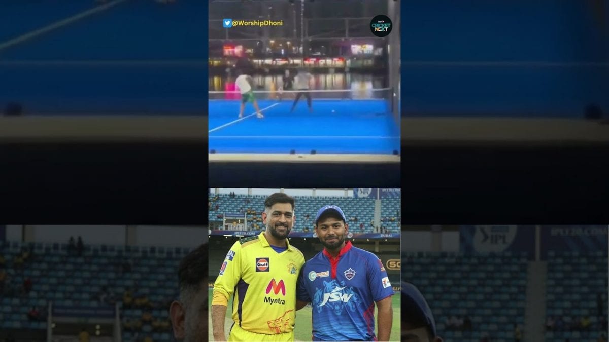 MS Dhoni and Rishabh Pant Play Pickleball After IPL 2024 Auction in Dubai | CricketNext