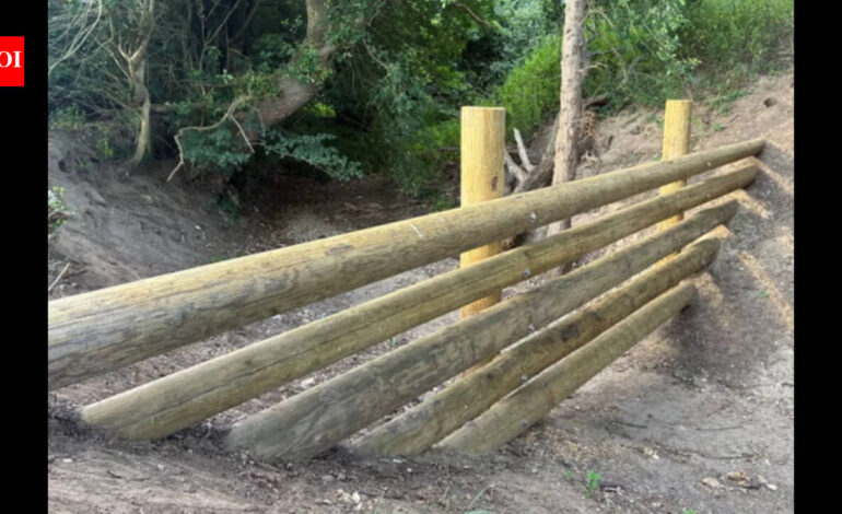 A UK village spent £35,000 building four beaver-style dams after homes flooded. It is now waiting for the next deluge during a hosepipe ban