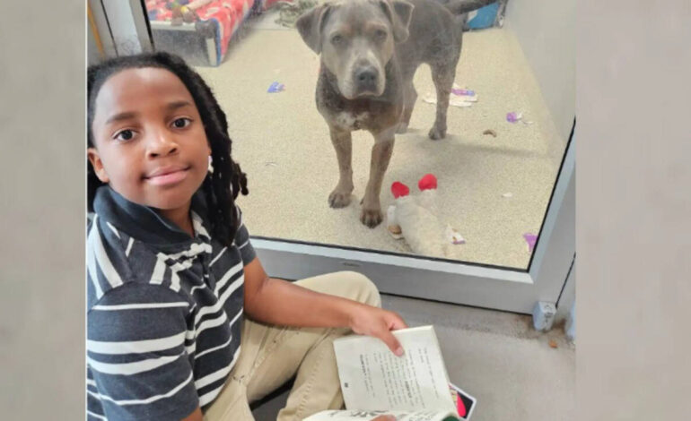 An 11-year-old boy is bringing storytime to shelter animals, reading to dogs and cats so they feel calmer while waiting for forever homes