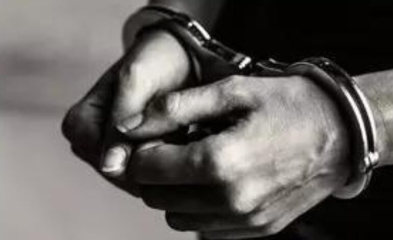 Terrorist handler arrested in J&K’s Kishtwar | India News