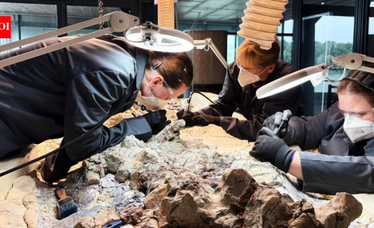 Scientists found a 2,865-pound predator from before dinosaurs ruled Earth; now 2,000 ordinary people are helping reveal its skeleton