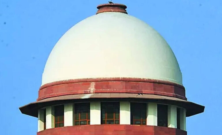 SC to examine plea to ease green-cracker ban | India News