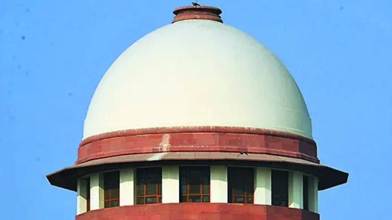SC to examine plea to ease green-cracker ban | India News