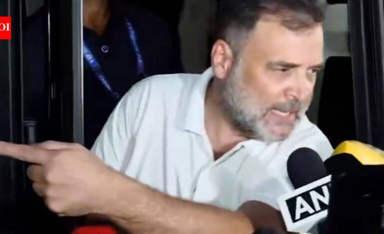 ‘Not able to go ahead’: Rahul says INDIA bloc march stopped by police — top developments | India News