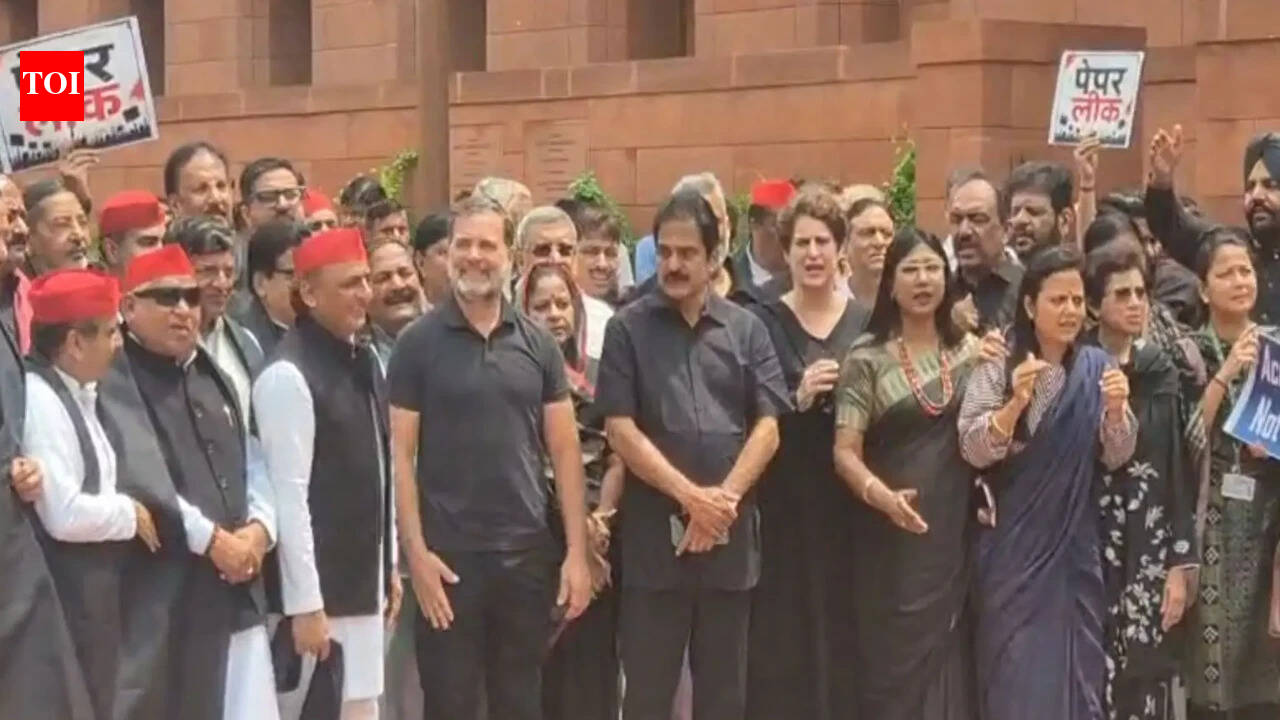 Opposition MPs take out march in solidarity with protesters | India News
