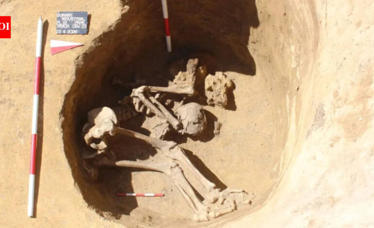 Marcus Aurelius: 1,800-year-old Roman camp linked to Marcus Aurelius found in Slovakia; possible soldiers lay in pits and wells with armour left behind