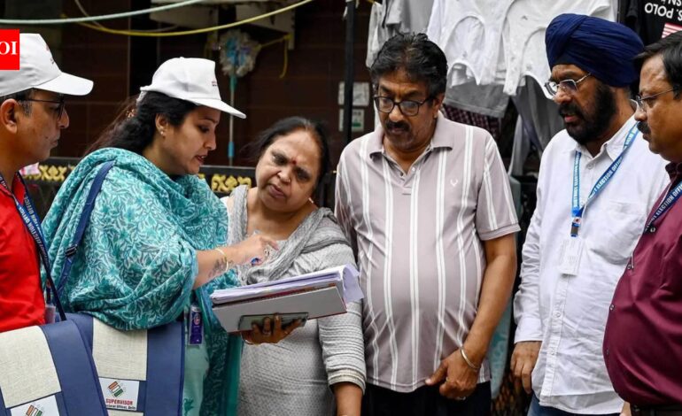 ‘You do whatever you like?’ Delhi HC pulls up EC for deploying school teachers for BLO duties during SIR | India News
