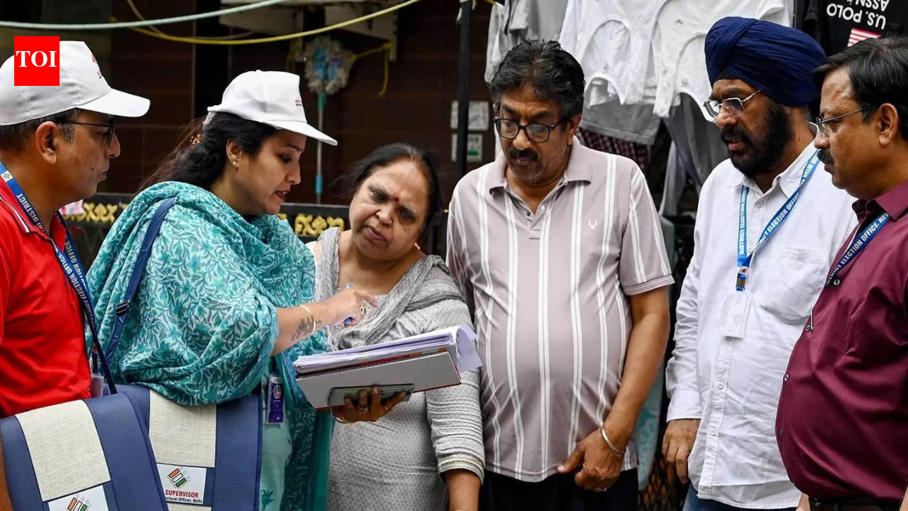 ‘You do whatever you like?’ Delhi HC pulls up EC for deploying school teachers for BLO duties during SIR | India News
