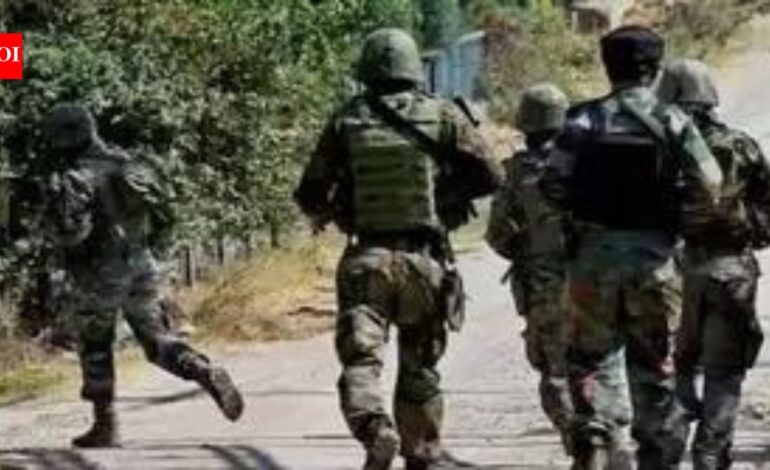 Amid manhunt for J&K cop’s terrorist killers, detentions spike to 3.5k | India News