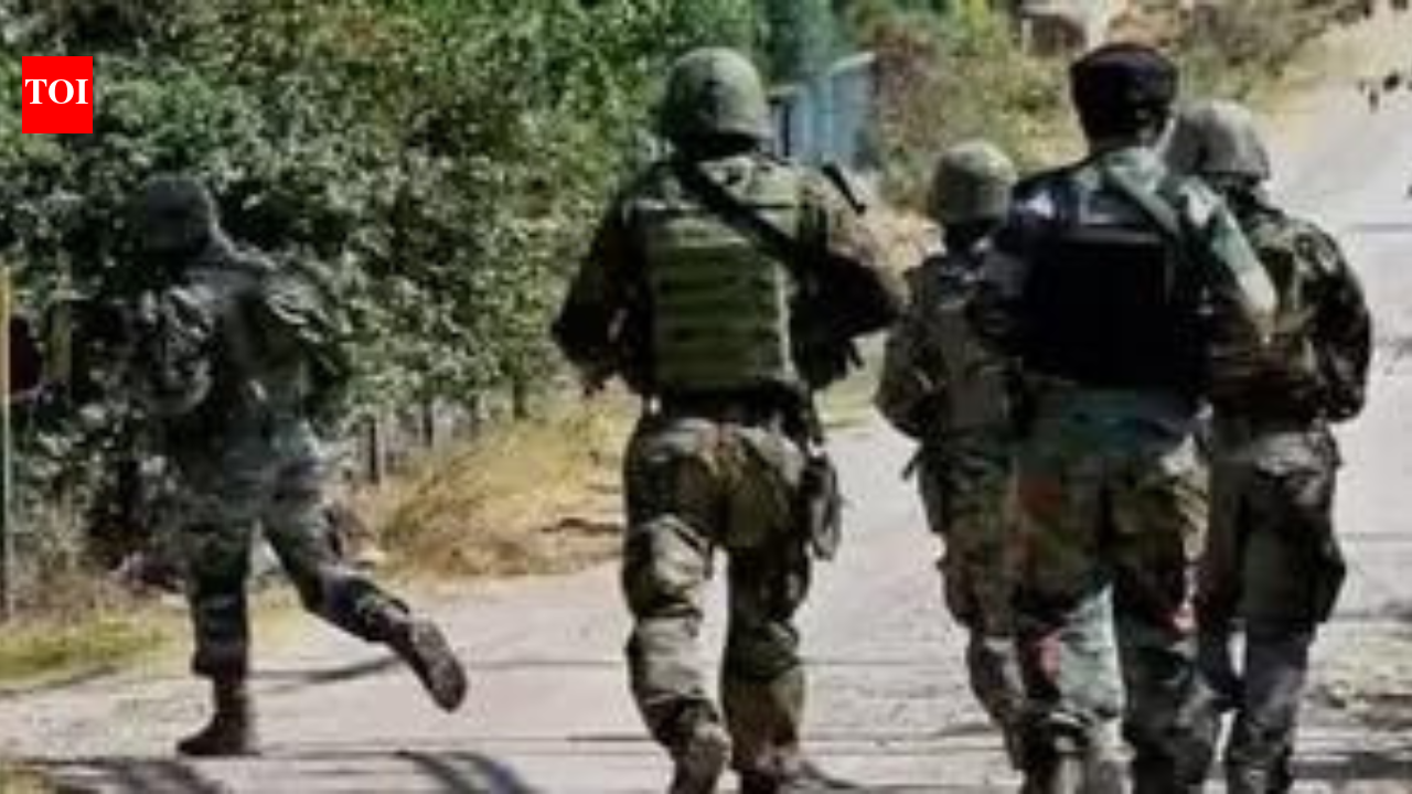 Amid manhunt for J&K cop’s terrorist killers, detentions spike to 3.5k | India News