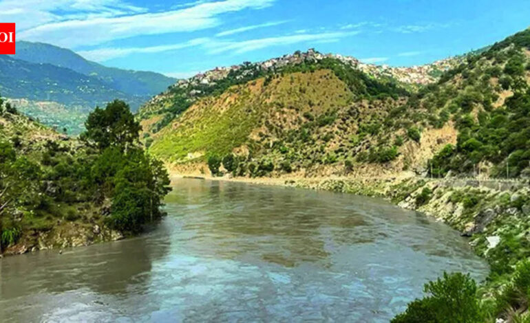 Govt dismisses Pak allegation of India deliberately causing flooding | India News