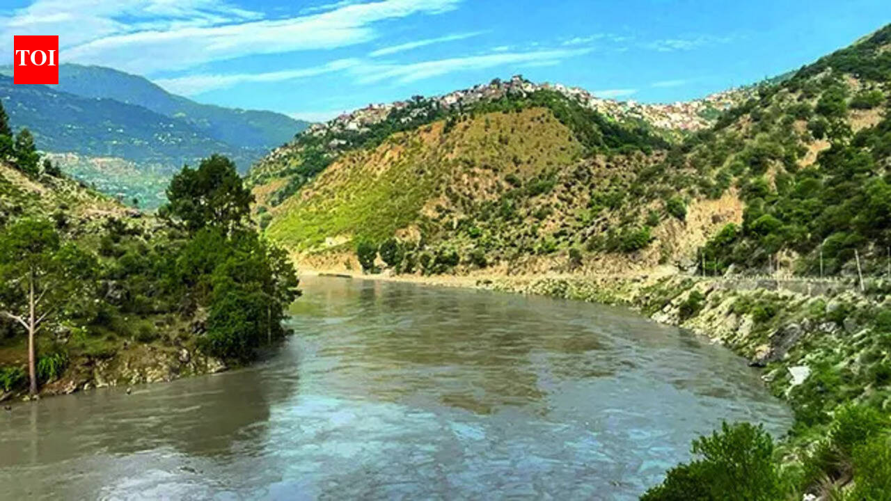 Govt dismisses Pak allegation of India deliberately causing flooding | India News