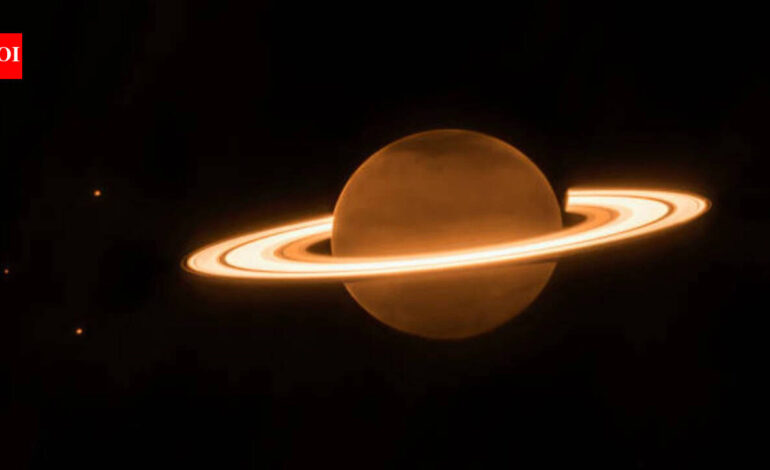 Two scientists are planning to venture into one of the most dangerous environments in the solar system and touch it. NASA thinks the plan could work |
