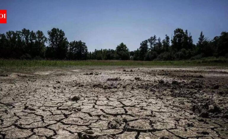 PM Modi pitches water conservation amid widespread monsoon deficit | India News