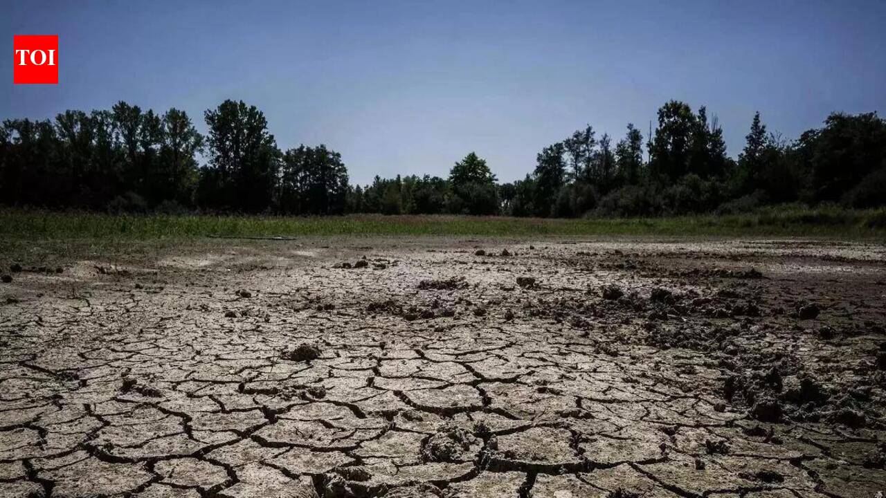 PM Modi pitches water conservation amid widespread monsoon deficit | India News