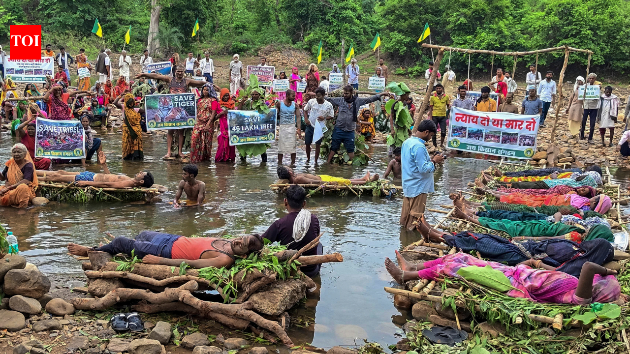 From Chita Andolan to Jal Satyagrahas: Why the Ken-Betwa project has upset MP tribals | India News