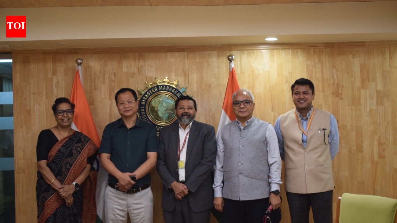 Mizoram minister Lalnilawma meets NDMA leadership; seeks ‘disaster’ status for African swine fever | India News
