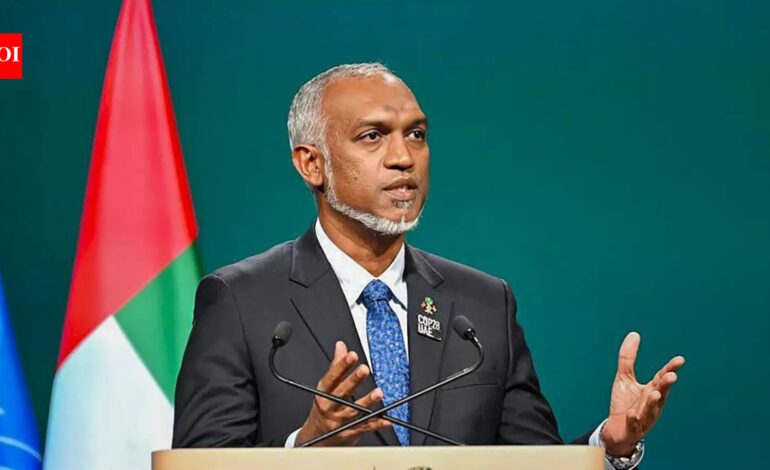 As Maldives president seeks SAARC summit, India says cooperation requires goodwill | India News