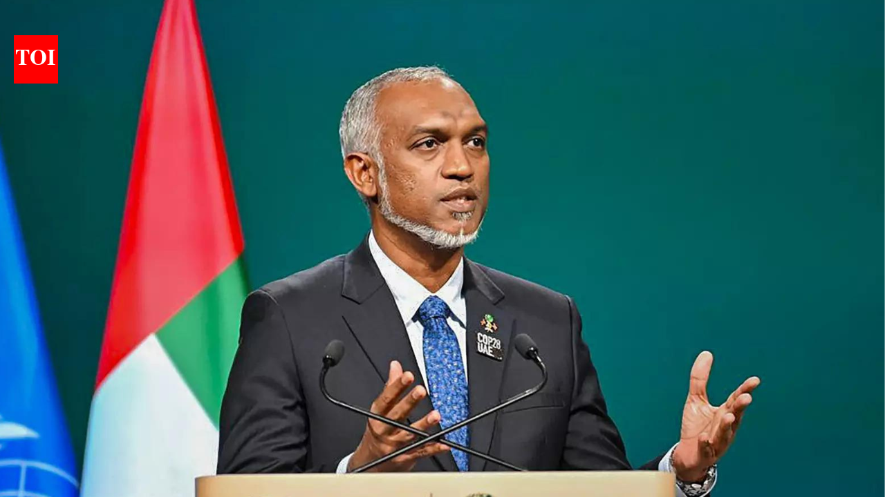 As Maldives president seeks SAARC summit, India says cooperation requires goodwill | India News