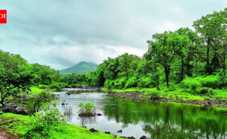 Western Ghats Ecological Zones: Centre notifies 7th draft for ecological zones in Western Ghats | India News