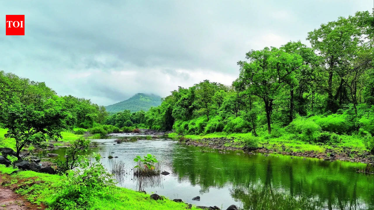 Western Ghats Ecological Zones: Centre notifies 7th draft for ecological zones in Western Ghats | India News