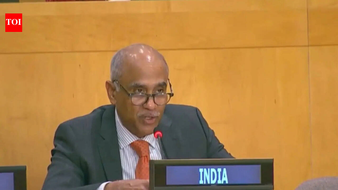 ‘Deeply concerning’: In UNSC, India strongly condemns attacks on commercial ships near Hormuz | India News