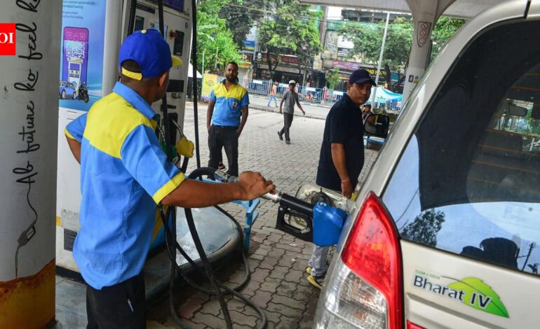 E20 petrol and vehicle mileage: What Nitin Gadkari said amid growing concerns | India News