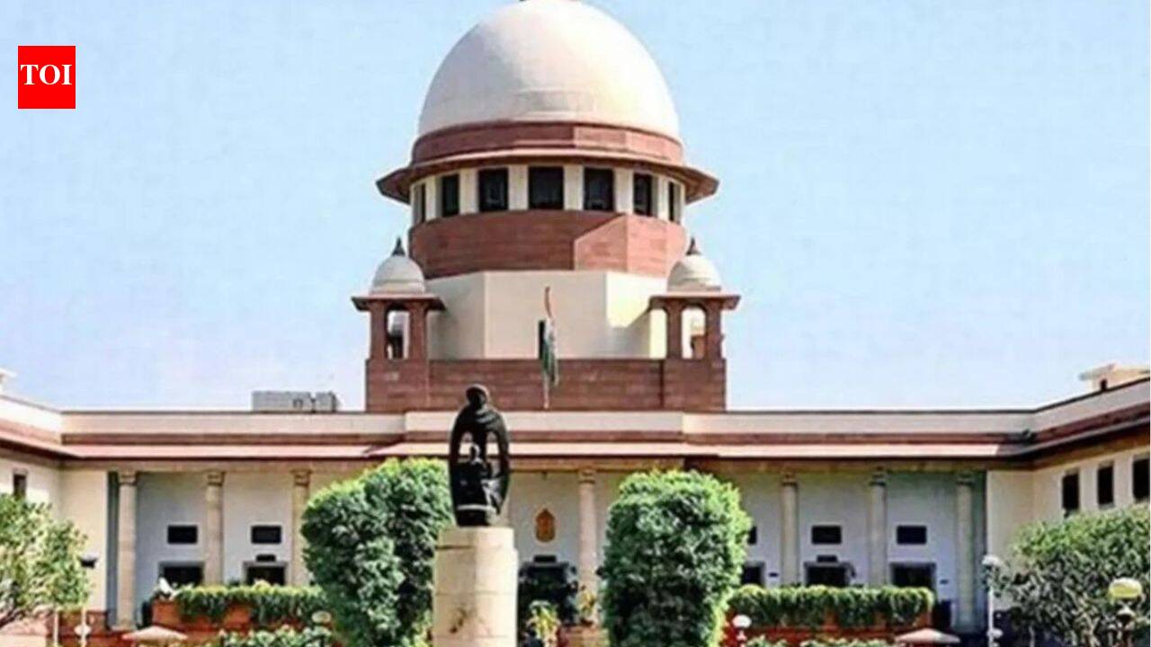 Supreme Court Grants Bail to Indian Mujahideen Operatives After 12 Years in Custody | India News