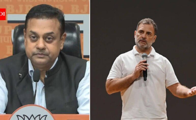 ‘Was given a full opportunity’: BJP counters Rahul’s ‘not allowed to speak’ claim in Lok Sabha | India News