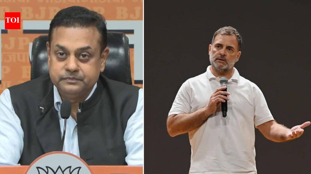 ‘Was given a full opportunity’: BJP counters Rahul’s ‘not allowed to speak’ claim in Lok Sabha | India News