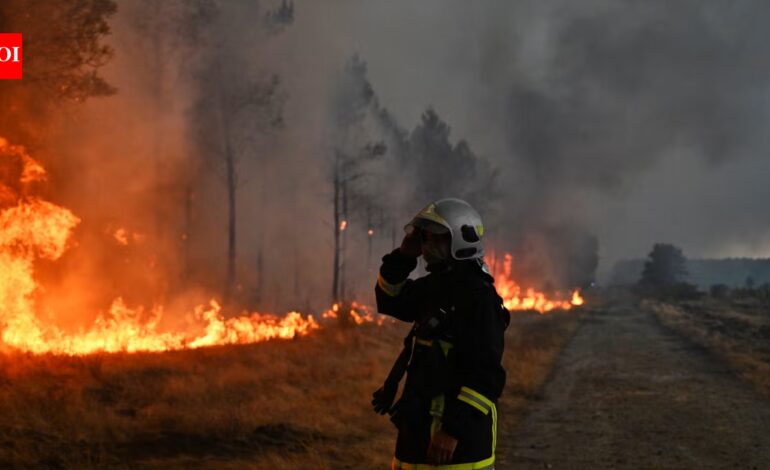 Canada’s 2023 wildfires burned 15.1 million hectares and released 554 million tonnes of carbon; scientists found most came from soil and peat beneath the trees