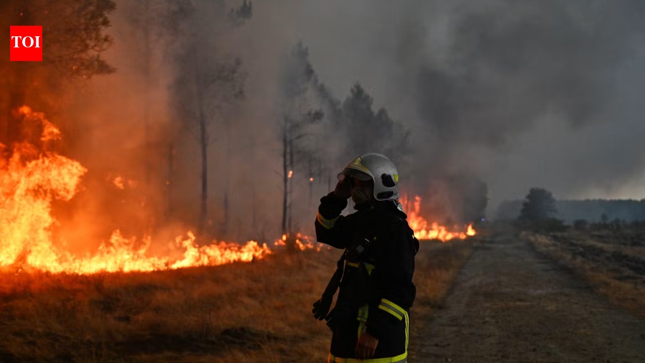 Canada’s 2023 wildfires burned 15.1 million hectares and released 554 million tonnes of carbon; scientists found most came from soil and peat beneath the trees