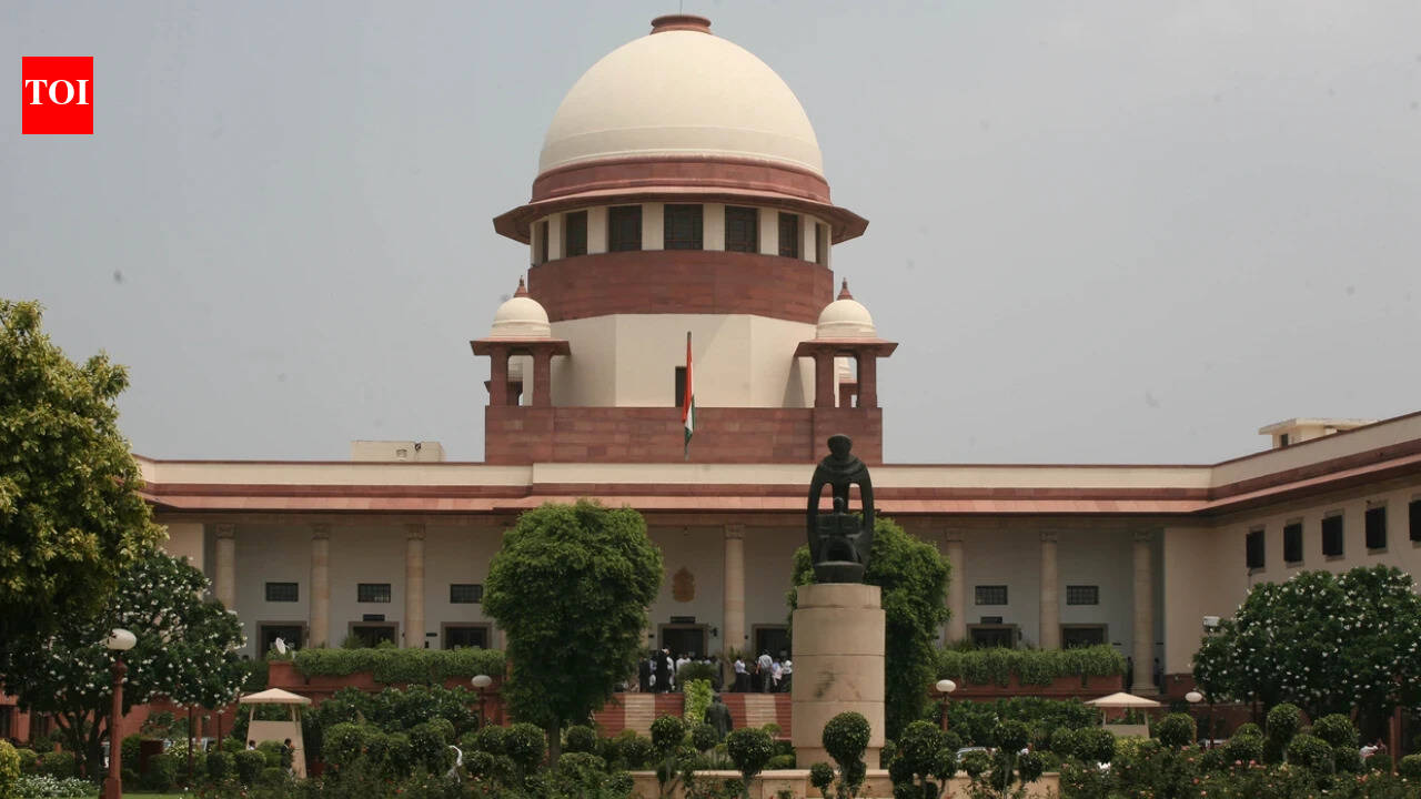 Supreme Court curbs powers of SC panel, says it can’t pass adjudicatory orders | India News