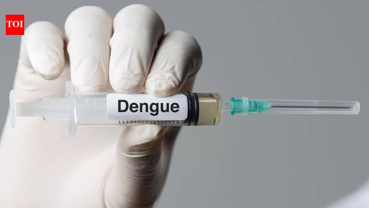 Dengue Vaccine Rollout: Ahead of dengue vaccine rollout, all 4 strains found in circulation | India News