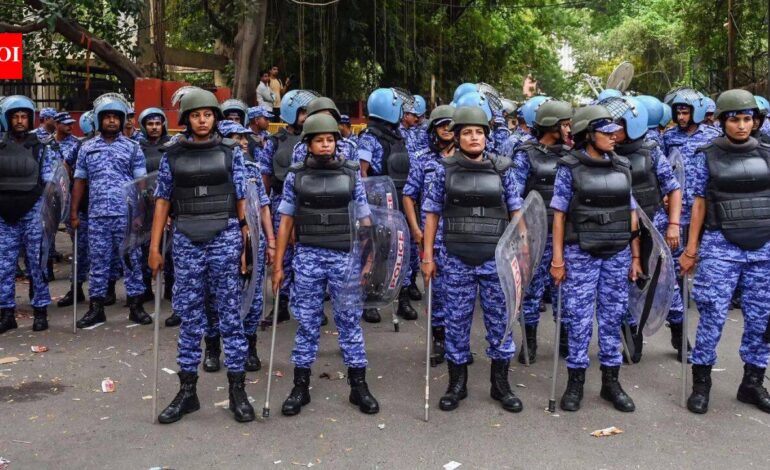 ‘Pellet guns can be used in exceptional situations’: SC seeks RAF ammunition log from Jantar Mantar protest | India News