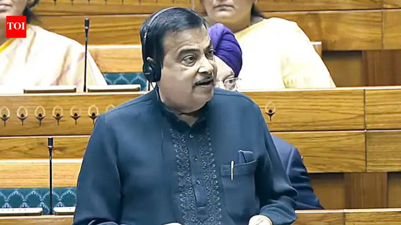 E20 petrol can reduce vehicle mileage by up to 6%: Nitin Gadkari in Parliament | India News