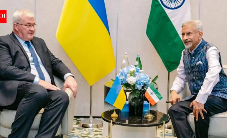Ukraine Conflict: Ukraine dials India, seeks peace role amid ship attack concerns | India News