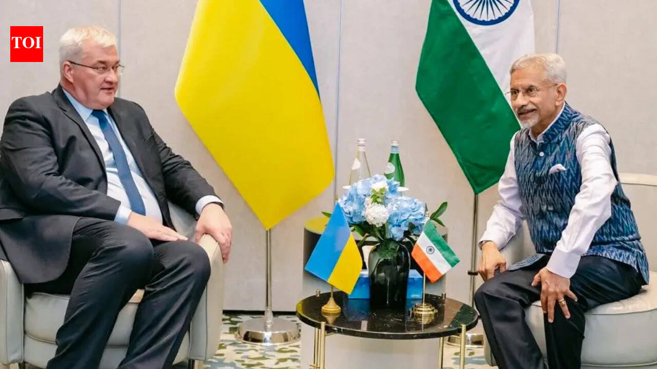 Ukraine Conflict: Ukraine dials India, seeks peace role amid ship attack concerns | India News