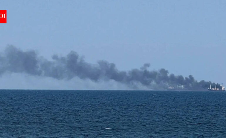 Indians Killed In West Asia Conflict: 16 Indians, including 10 seamen, killed in Middle East conflict: Government | India News