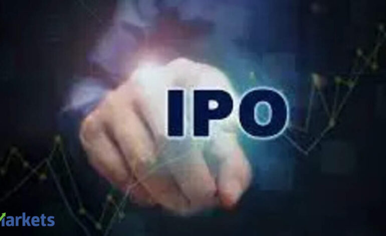 Can Juniper Green Energy IPO deliver long-term growth for high risk investors?