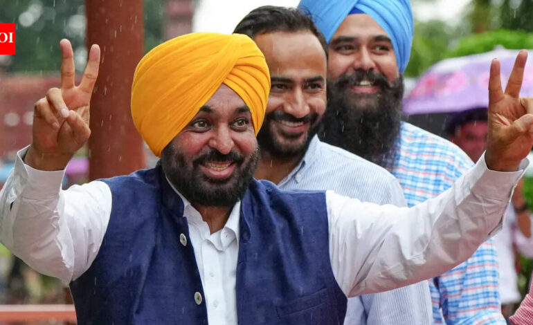Punjab opens applications for second batch of anti-drug mental health fellowship | India News
