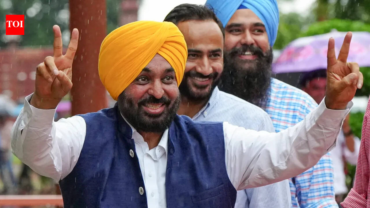 Punjab opens applications for second batch of anti-drug mental health fellowship | India News
