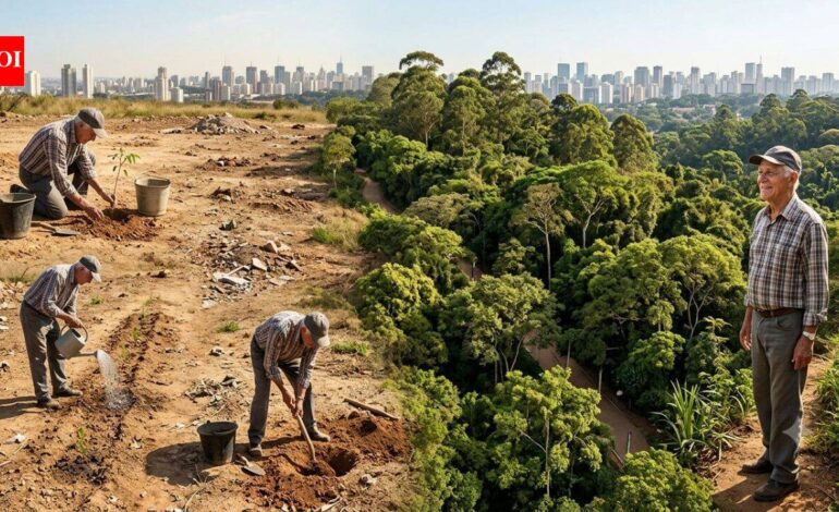 In 2003, a retired man planted trees on forgotten land alone; 20 years later, it had become one of Sao Paulo’s largest urban forests | World News