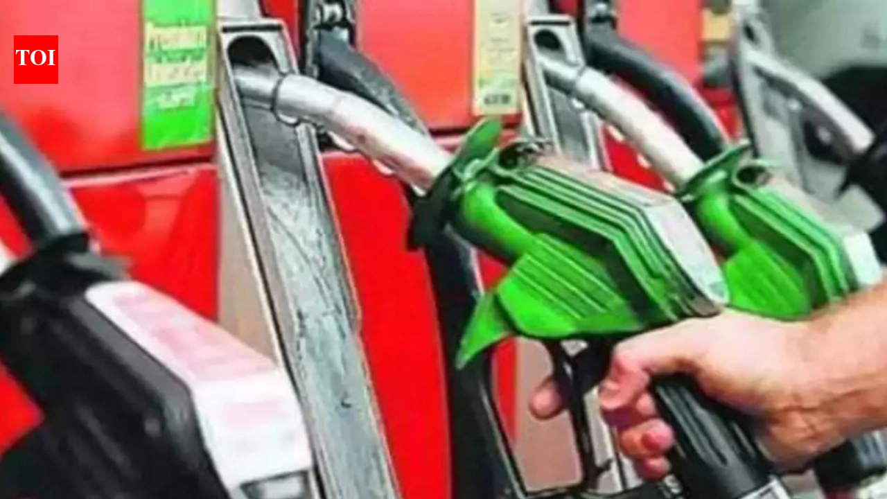 Ethanol blending saved consumers Rs 30/litre during crude spike: Govt | India News