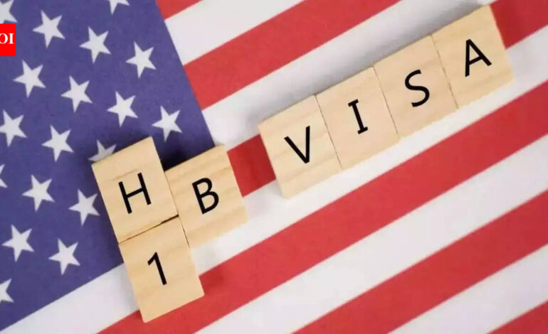 Travel alert for visa holders in US: Immigration experts say domestic flying has become risky, alarming rise in number of airport arrests